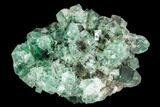 Fluorite Crystal Cluster - Rogerley Mine #106100-1